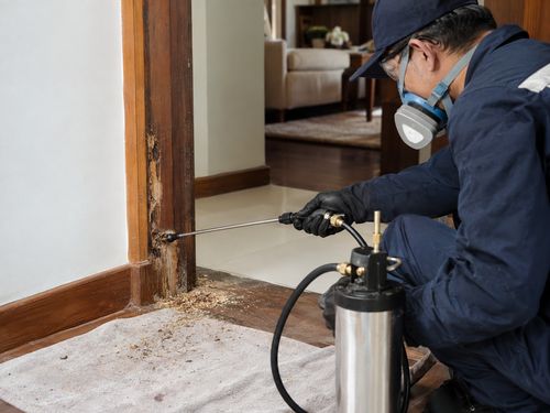Técnico de macacão, óculos e respirador aplicando produto com pulverizador no batente de madeira de uma porta, com serragem de cupim acumulada no chão