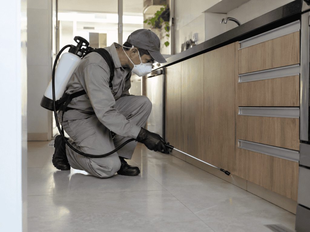 Técnico uniformizado aplicando inseticida com pulverizador no rodapé de uma cozinha